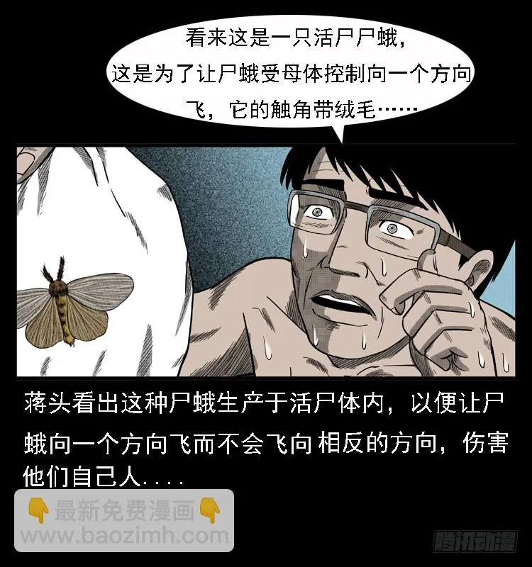 85尸蛾 第47页