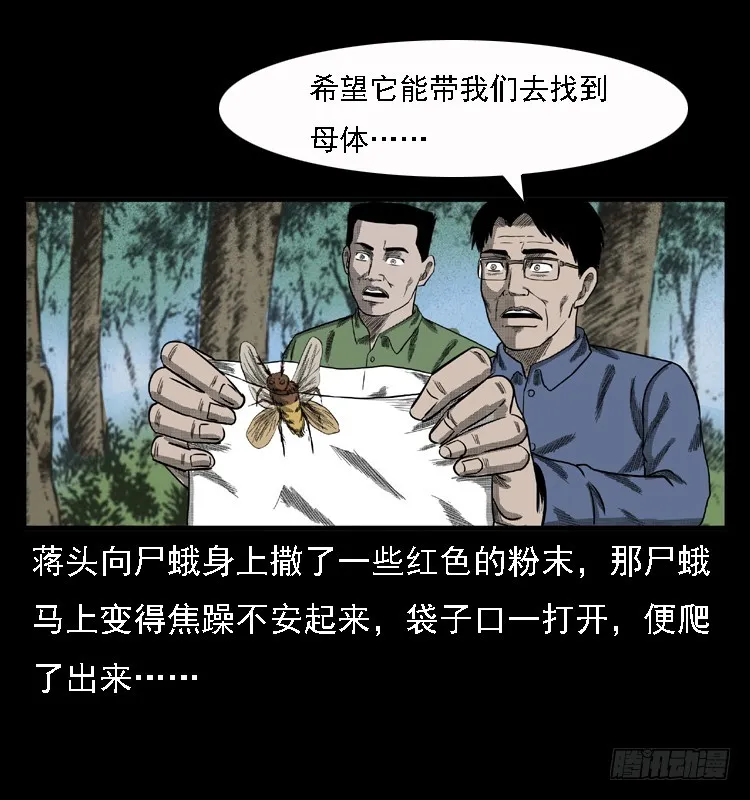 85尸蛾 第49页