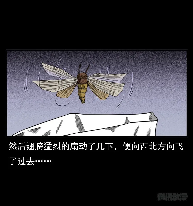 85尸蛾 第50页