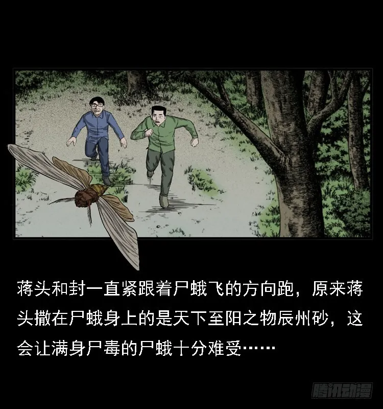 85尸蛾 第51页