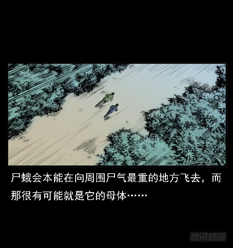85尸蛾 第53页