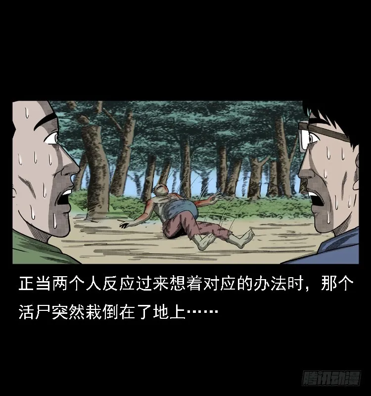 85尸蛾 第61页