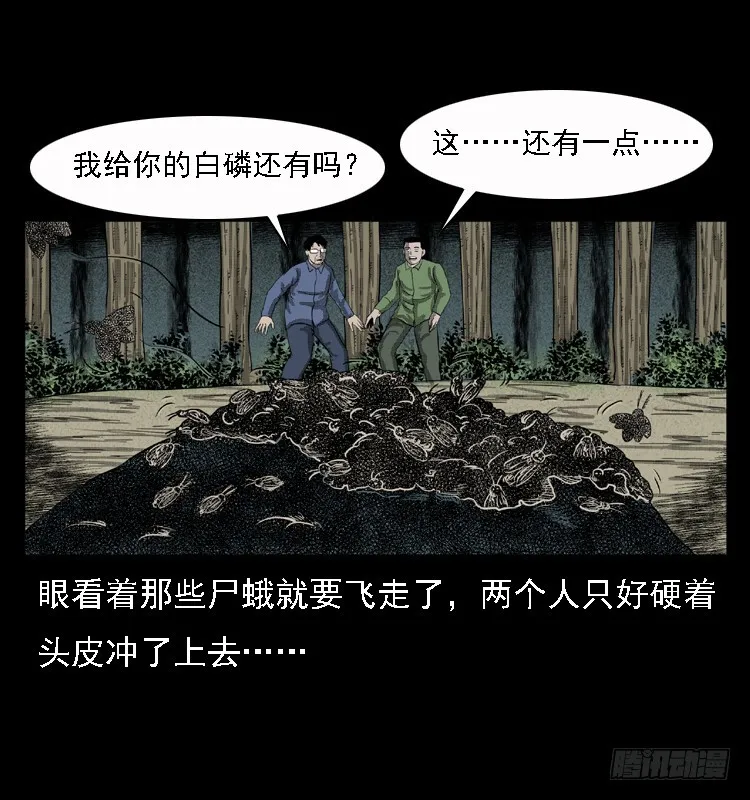 85尸蛾 第64页