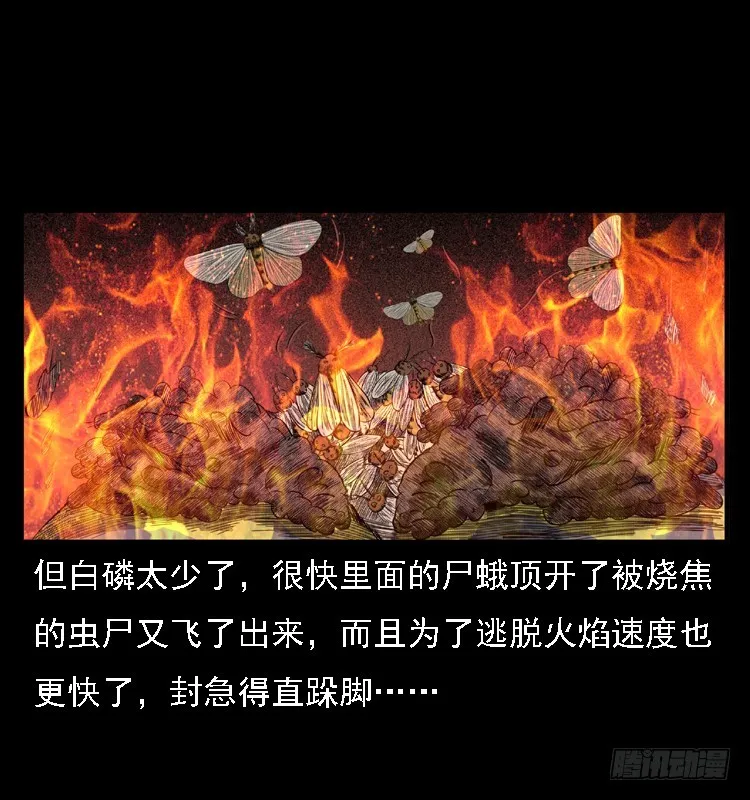 85尸蛾 第68页