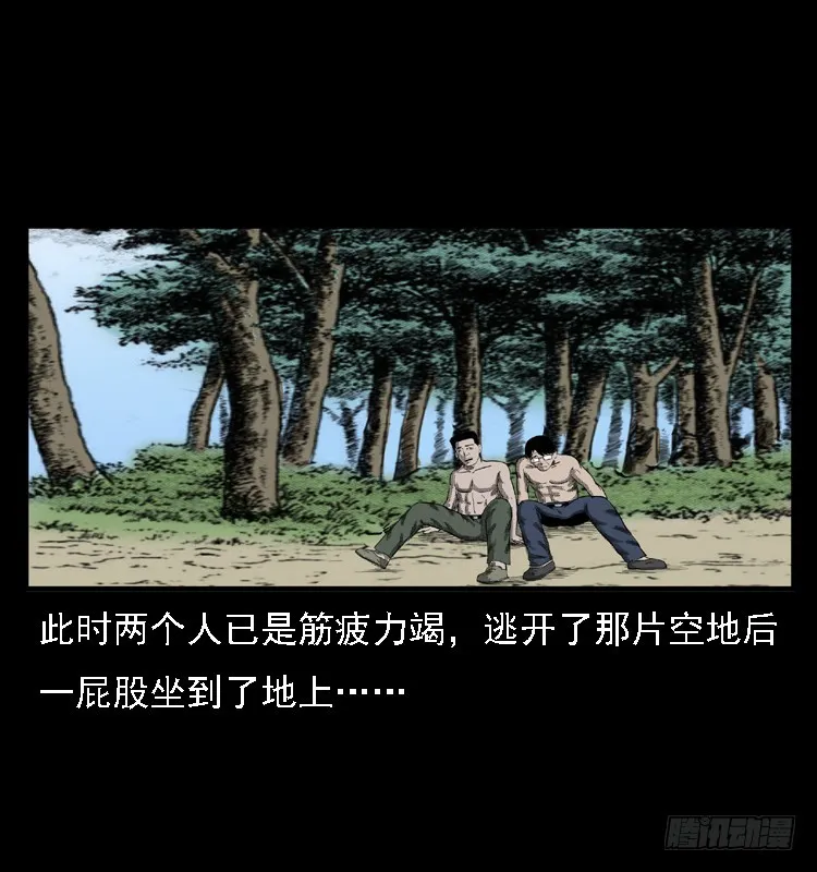 85尸蛾 第77页
