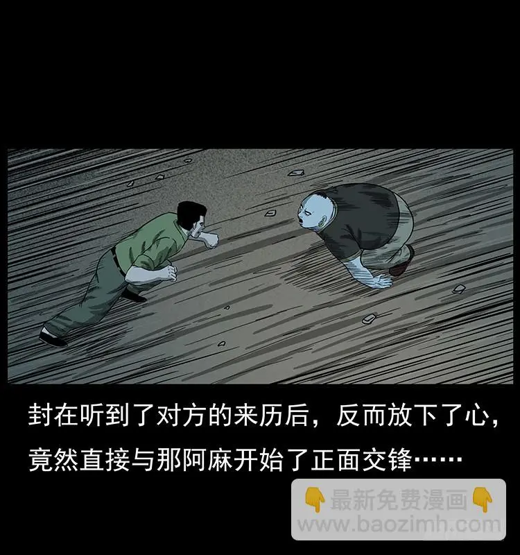 95大阵师3 第11页