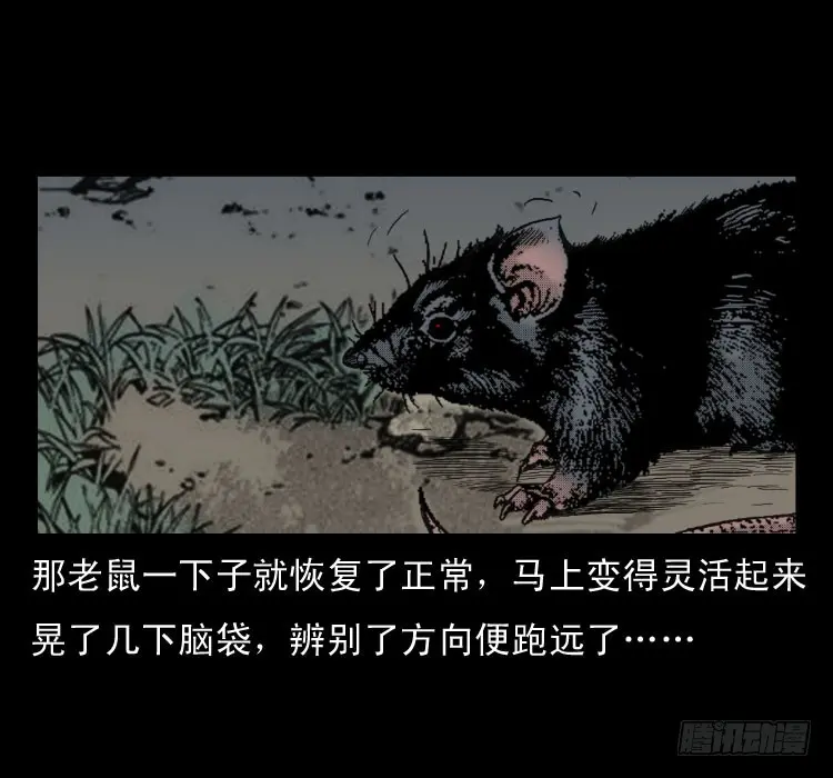 47灰仙儿（上） 第60页