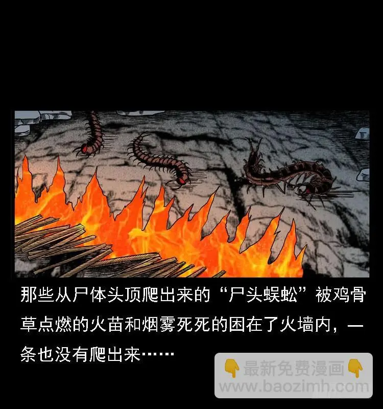 99痋术2 第30页