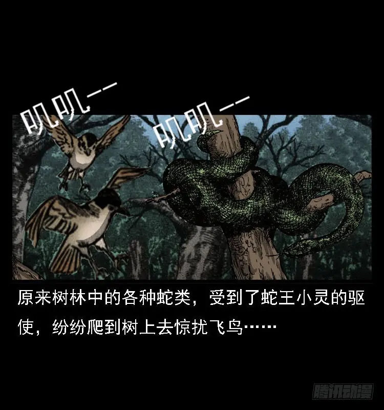 99痋术2 第66页