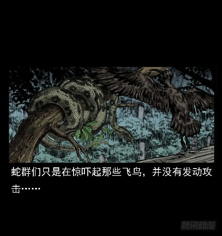 99痋术2 第67页