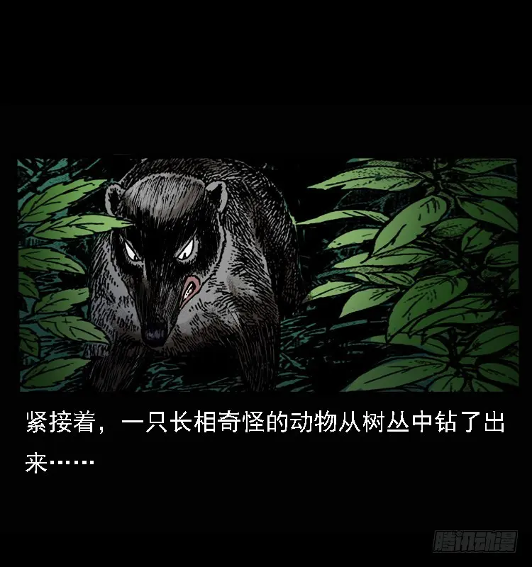 100痋术3 第6页