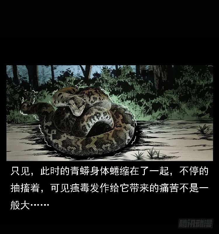 101痋术4 第13页