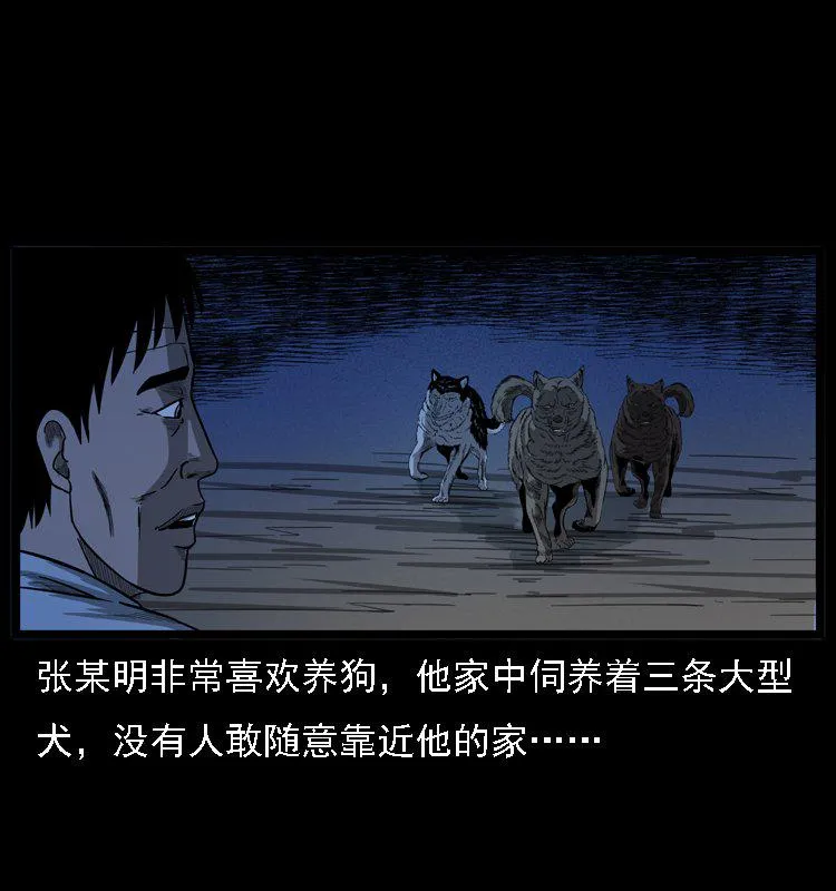 102一号地铁灵异事件 第84页