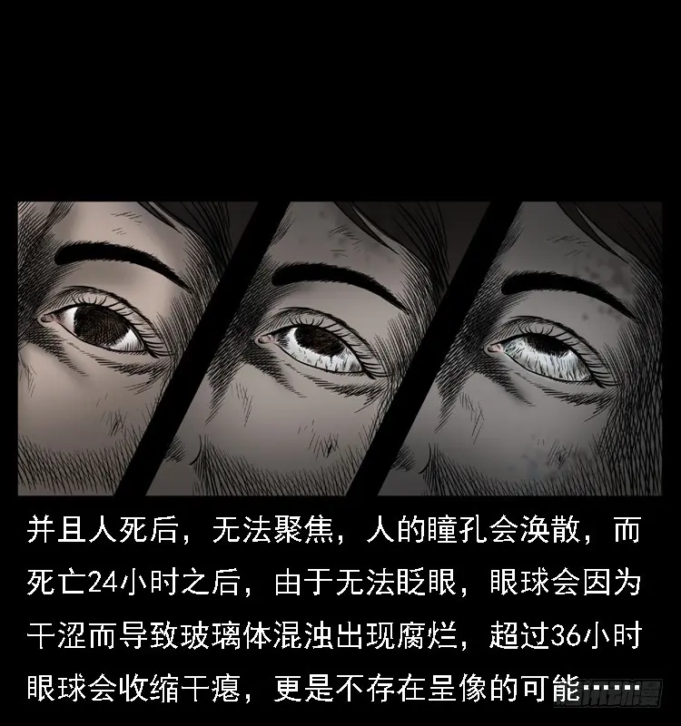 104瞳孔中的魔影 第86页