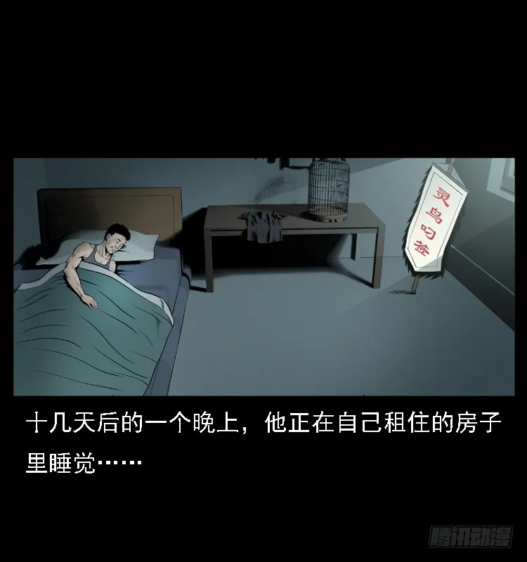 109自首的骗子 第41页