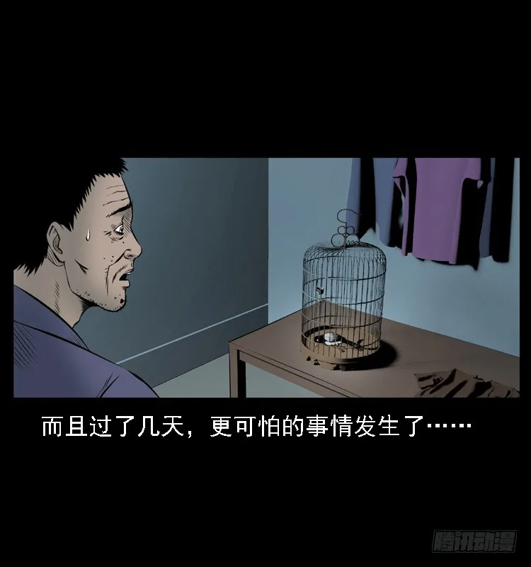 109自首的骗子 第64页