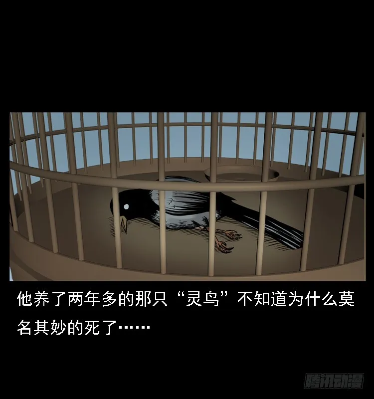 109自首的骗子 第65页