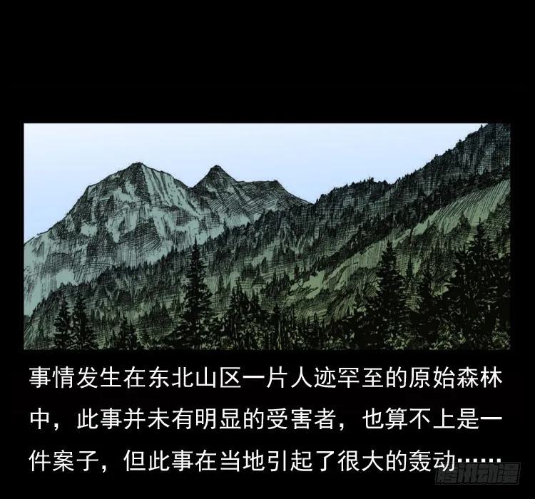 70原始森林中的鬼车（上） 第2页