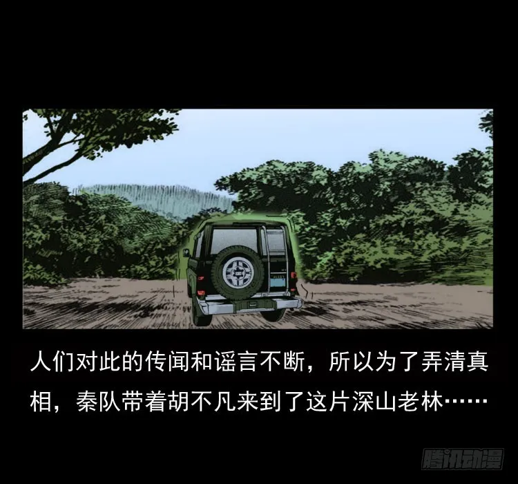 70原始森林中的鬼车（上） 第3页