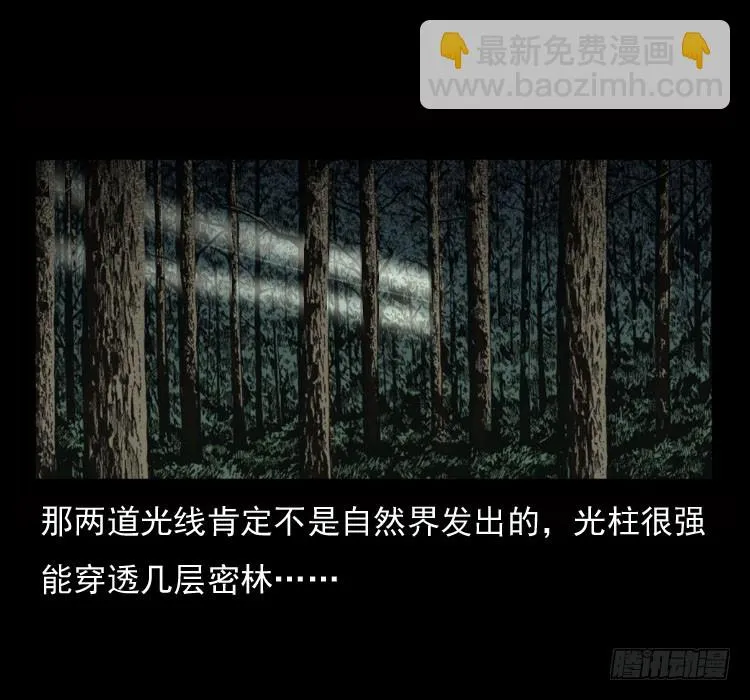 70原始森林中的鬼车（上） 第25页