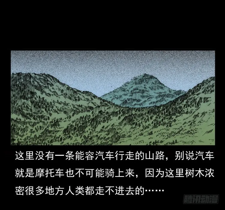 70原始森林中的鬼车（上） 第42页