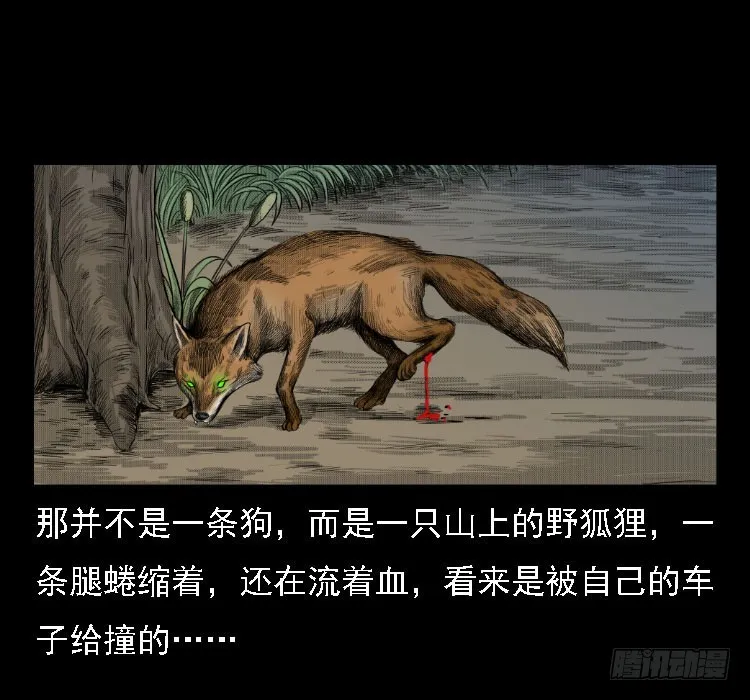 71原始森林中的鬼车（下） 第34页