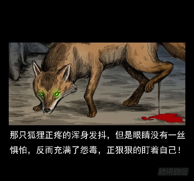 71原始森林中的鬼车（下） 第35页