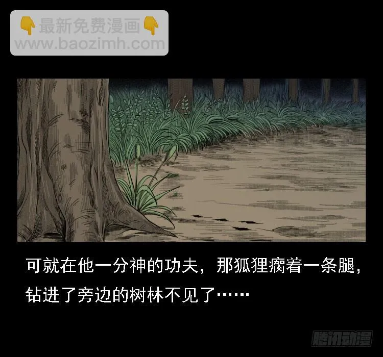 71原始森林中的鬼车（下） 第37页