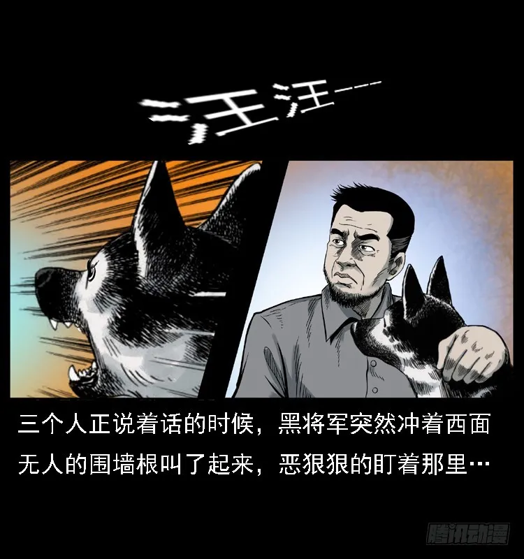 117通灵警犬 第5页