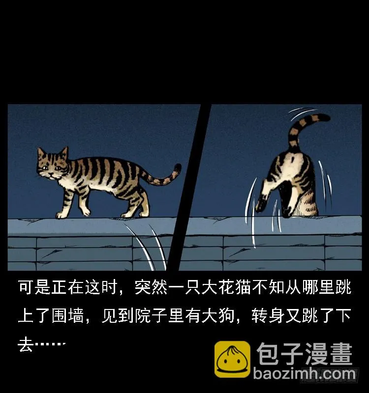 117通灵警犬 第9页