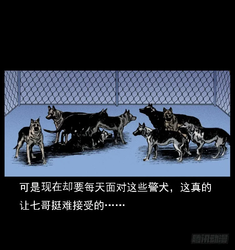 117通灵警犬 第17页