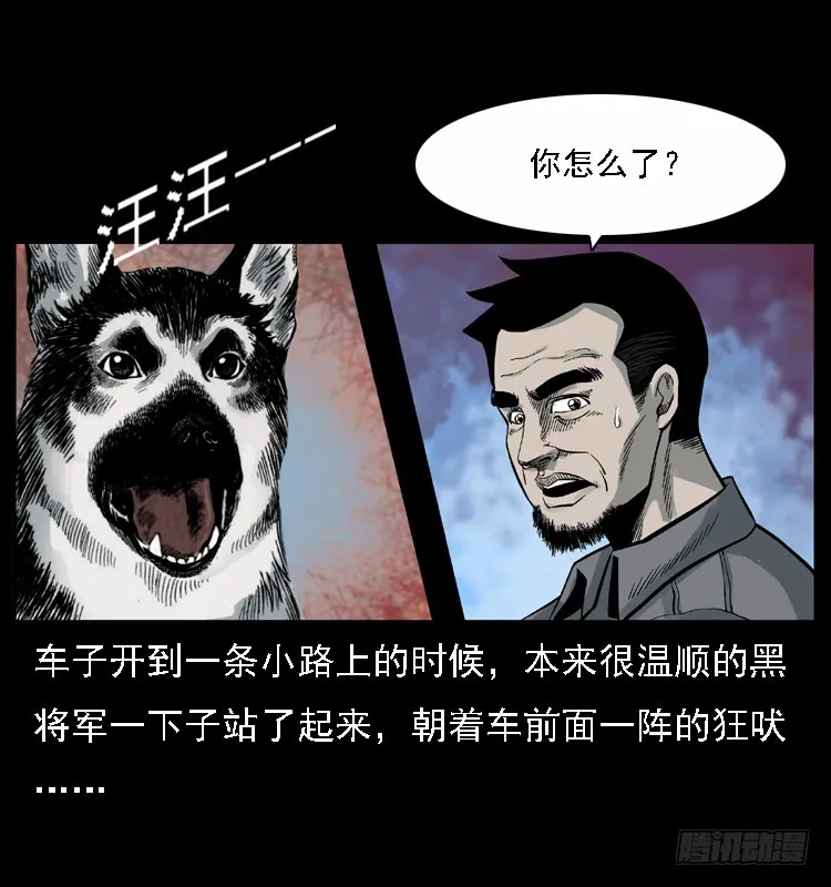 117通灵警犬 第22页