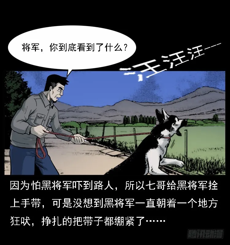 117通灵警犬 第29页