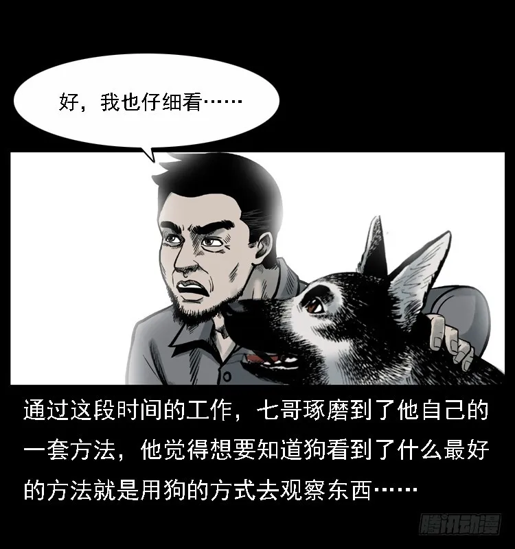 117通灵警犬 第31页