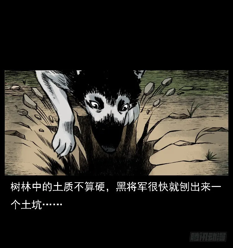 117通灵警犬 第39页