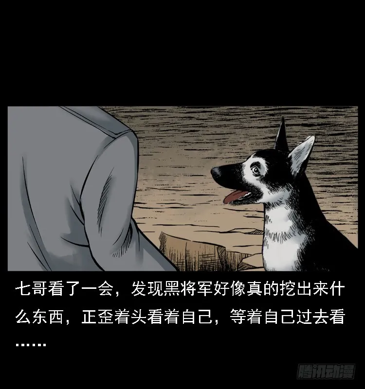 117通灵警犬 第40页