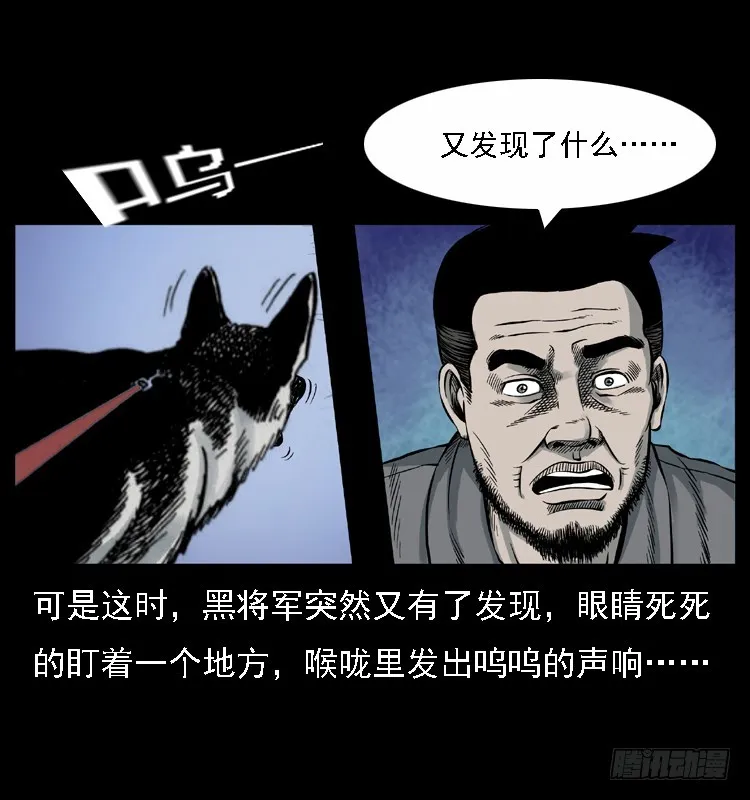 117通灵警犬 第47页