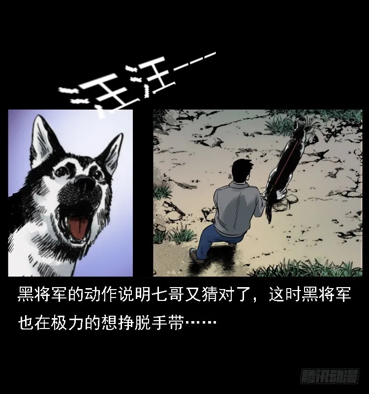 117通灵警犬 第48页
