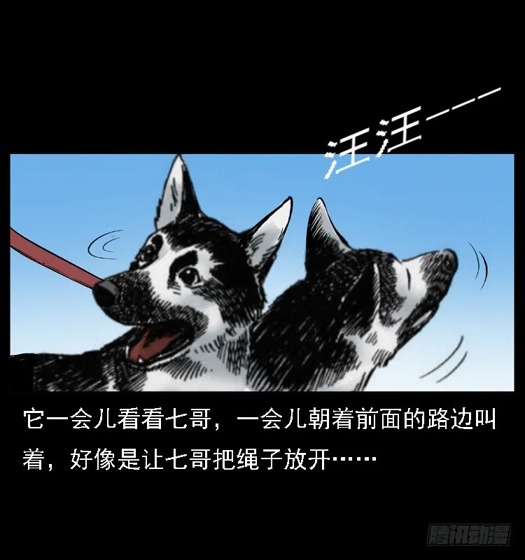 117通灵警犬 第49页