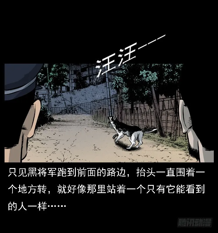 117通灵警犬 第52页