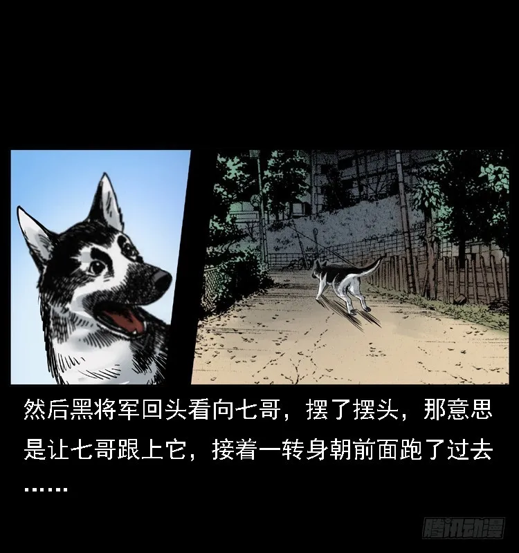 117通灵警犬 第53页