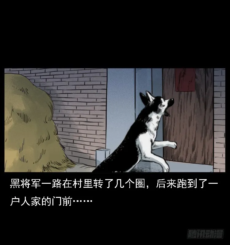 117通灵警犬 第57页