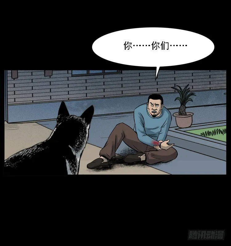 117通灵警犬 第68页