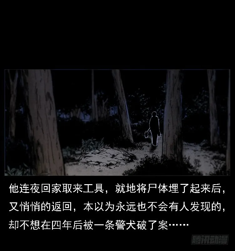 117通灵警犬 第78页