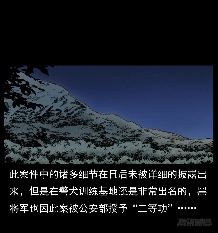 117通灵警犬 第79页