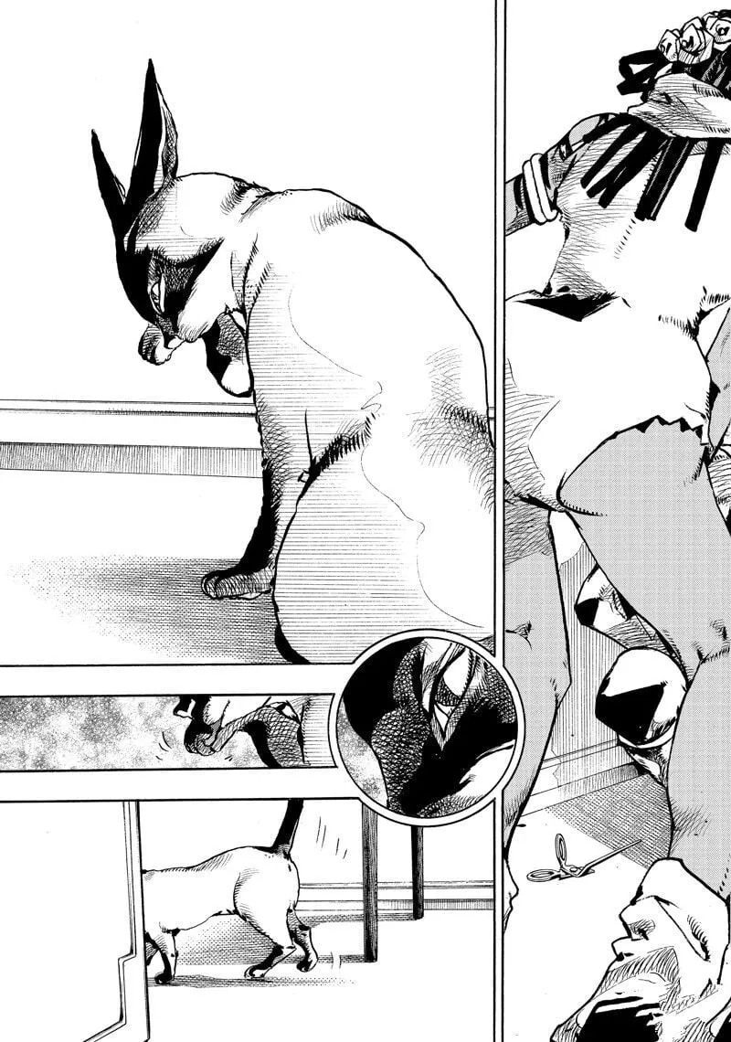 4 第11页