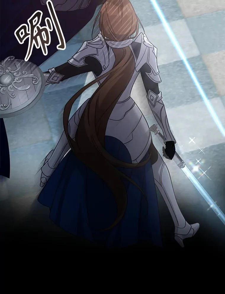 60.大师级骑士 第95页