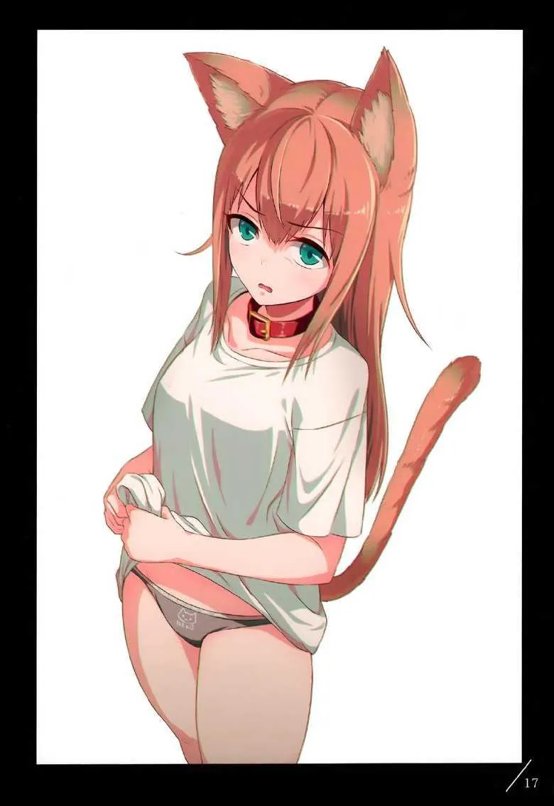 1 第19页