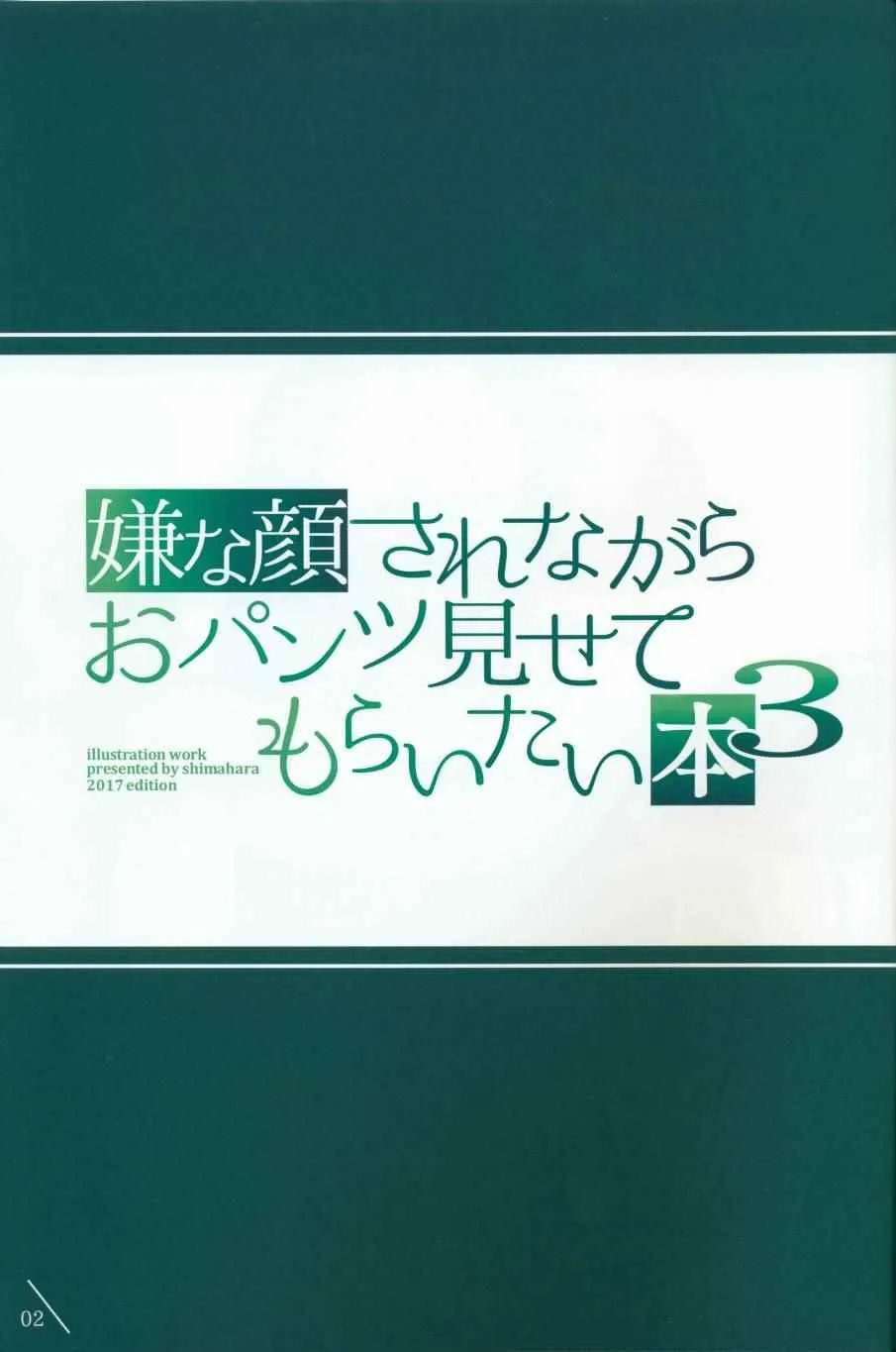 4 第3页