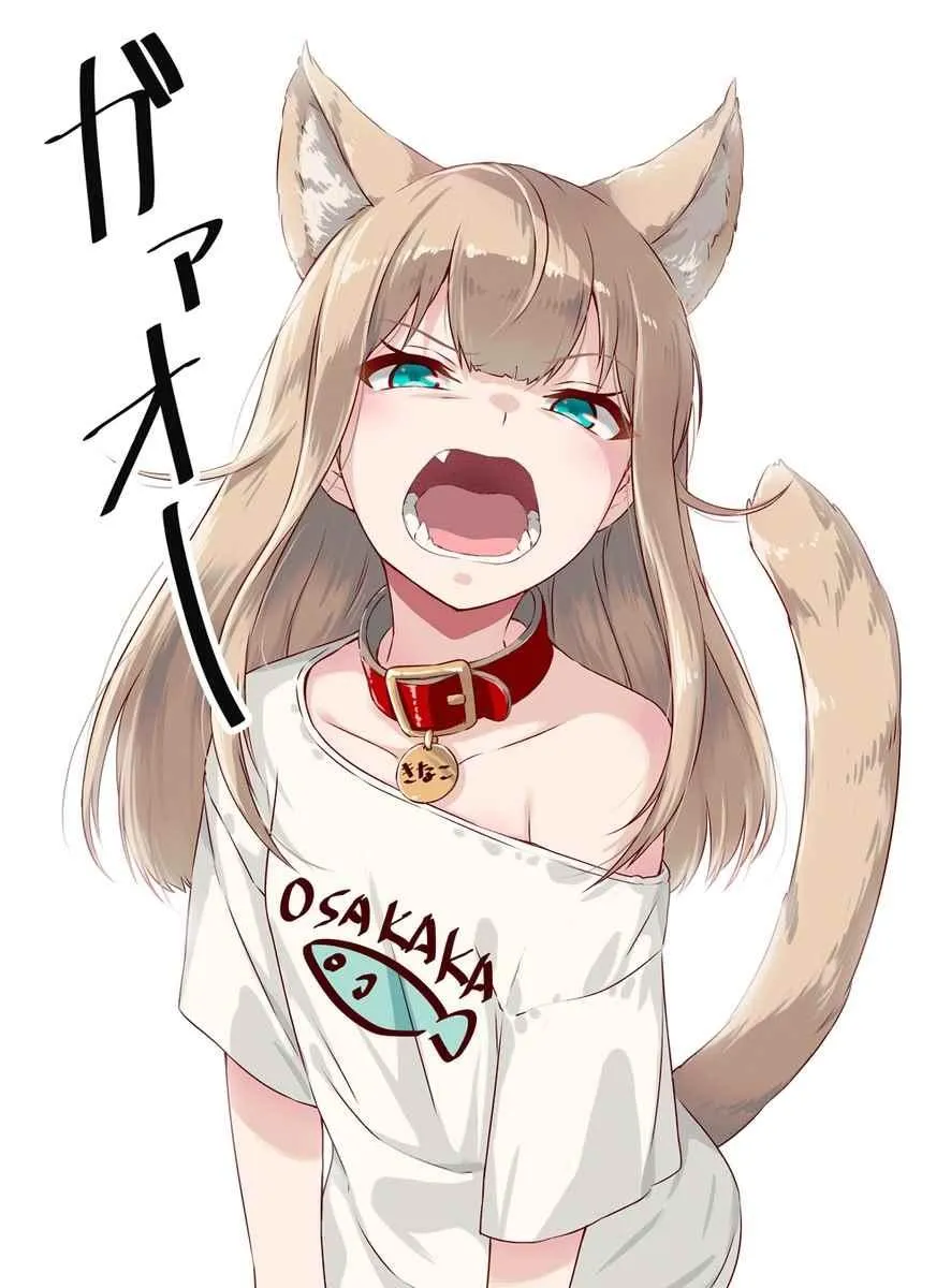露出胖次 2.22猫之日 第1页